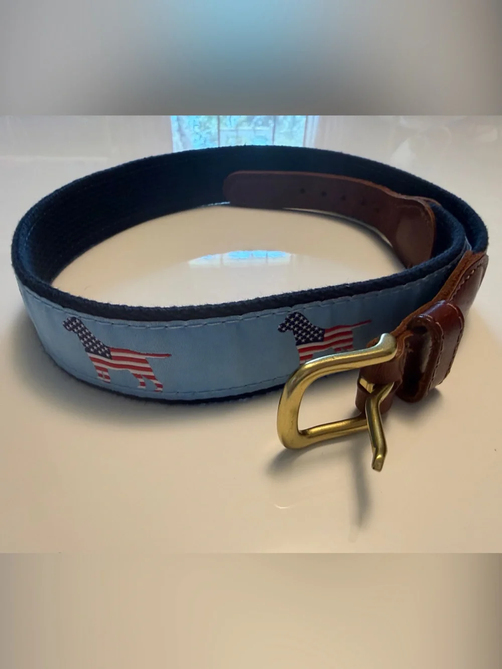 Preston Made Kids Belt with Patriotic Dog Embroidery